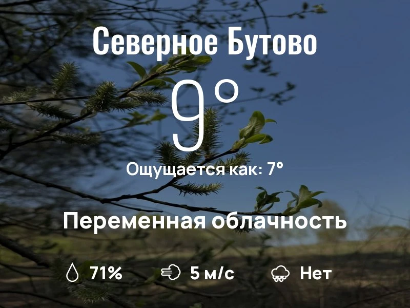 Что с погодой в Северном Бутово?