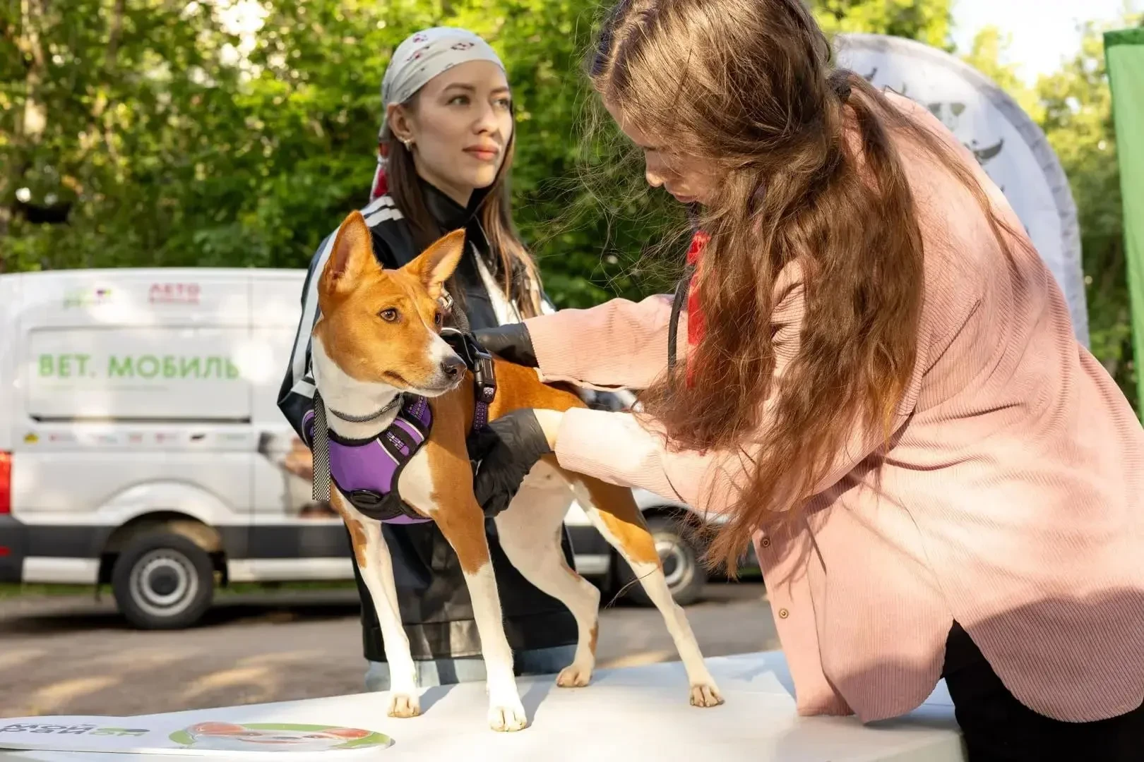 🐕 1 августа на Генерала Глаголева пройдёт «Мобильный груминг»