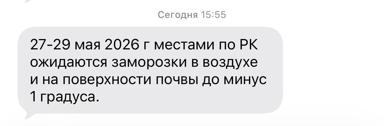 К сожалению минус для огурчиков губителен😔