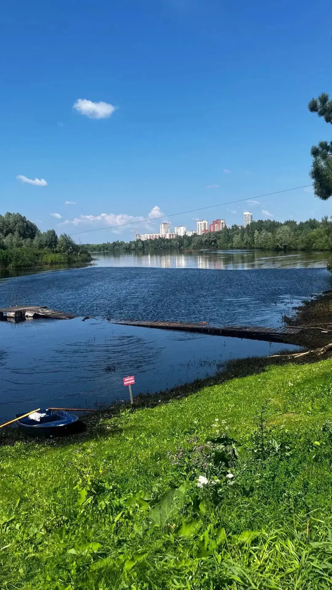 🕊️ Когда мир становится хрупким — мы становимся сильнее 🕊️