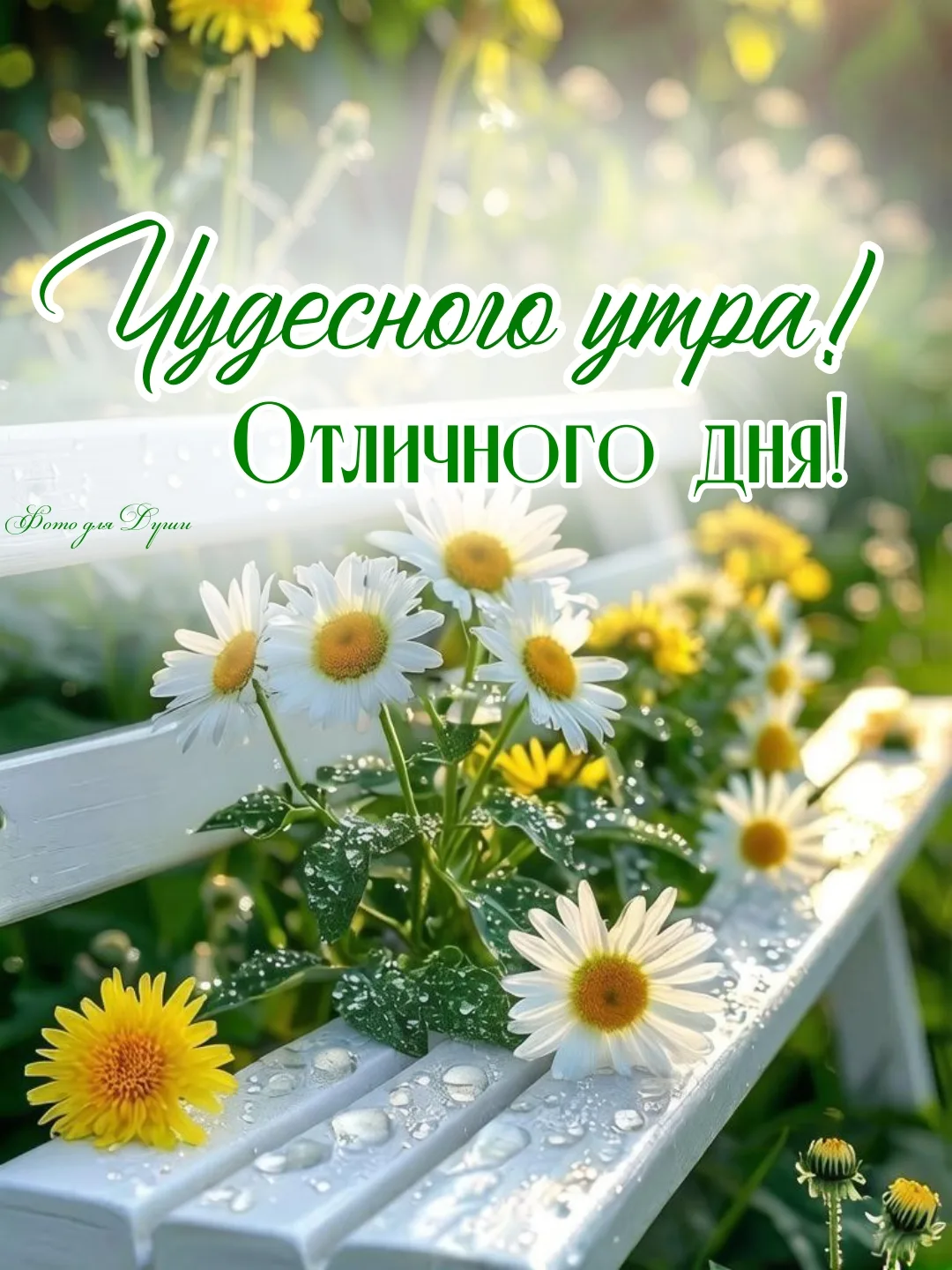 Д О Б Р О Е   У Т Р Е Ч К О!!!
🌼🍃🌾🌼🌿🌾🌼🍃🌾🌼🌿🍃🌾
 Солнечного настроения, незабываемых момен