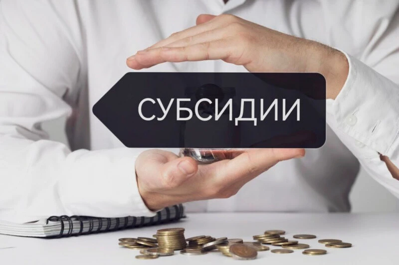 Целевые субсидии из федерального бюджета: правительство добавило новые цели.
Скорректировали Правила