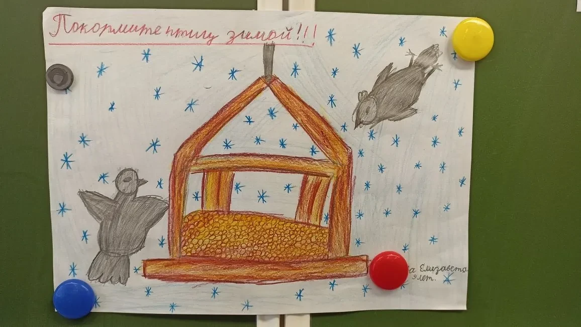 🐦 Поможем пернатым вместе!  Помощь зимующим птицам  в морозы заключается в регулярной подкормке высо