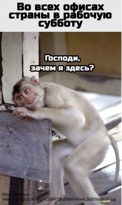 Добрый день! 😊