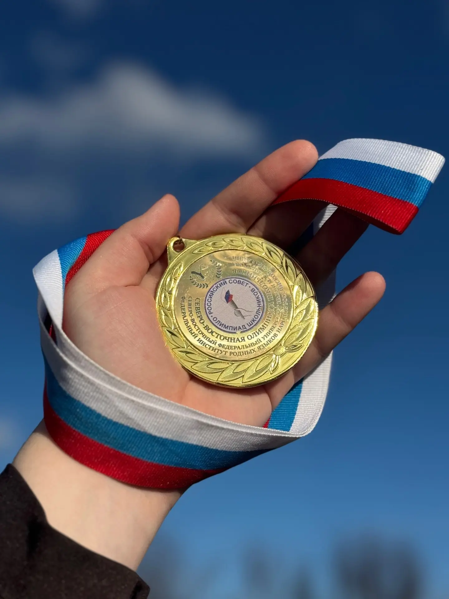 Мәктәп укучыларының туган телләр буенча төньяк-көнчыгыш олимпиадасы җиңүчесе Нәбиева Алияне чын күңе