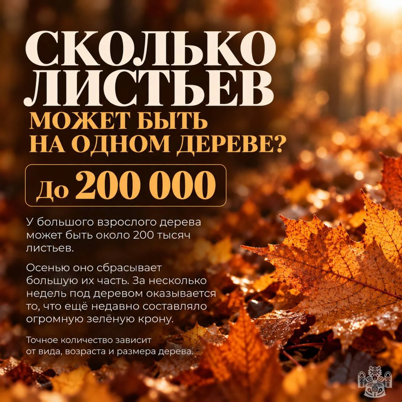 Изображение 2 к публикации «Новости Владивостока и Края»