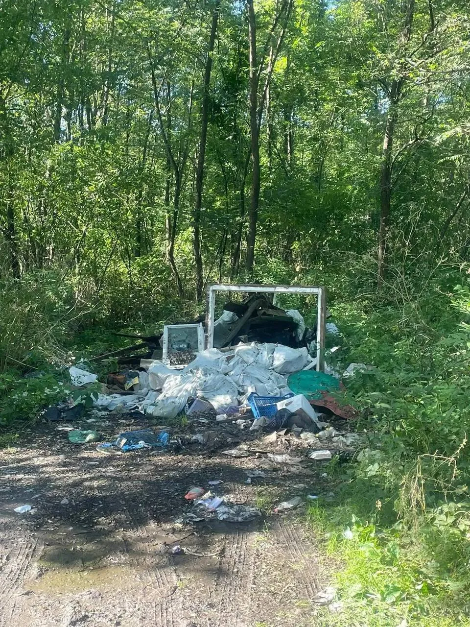 Вокруг городской Водной станции убрали 12 стихийных свалок