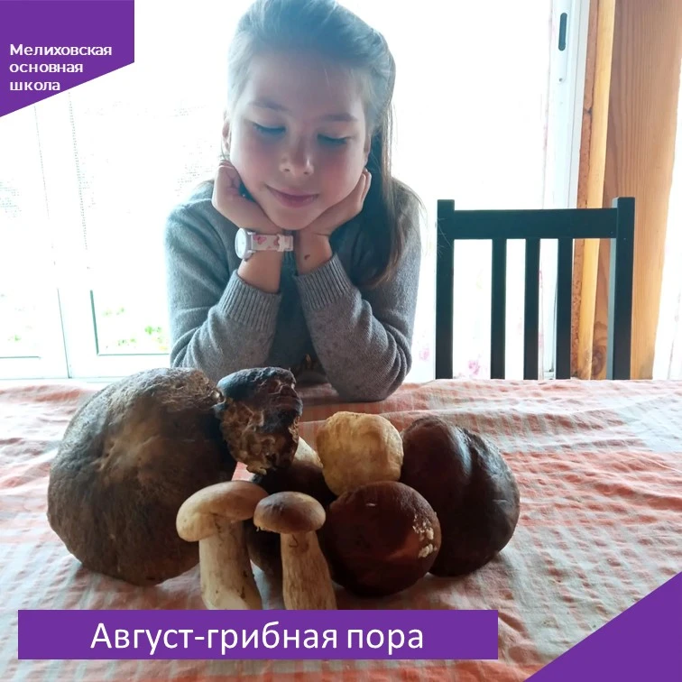🍁Август считается одной из самых удачных «грибных» и «тихих» охот. В этот период в лес...