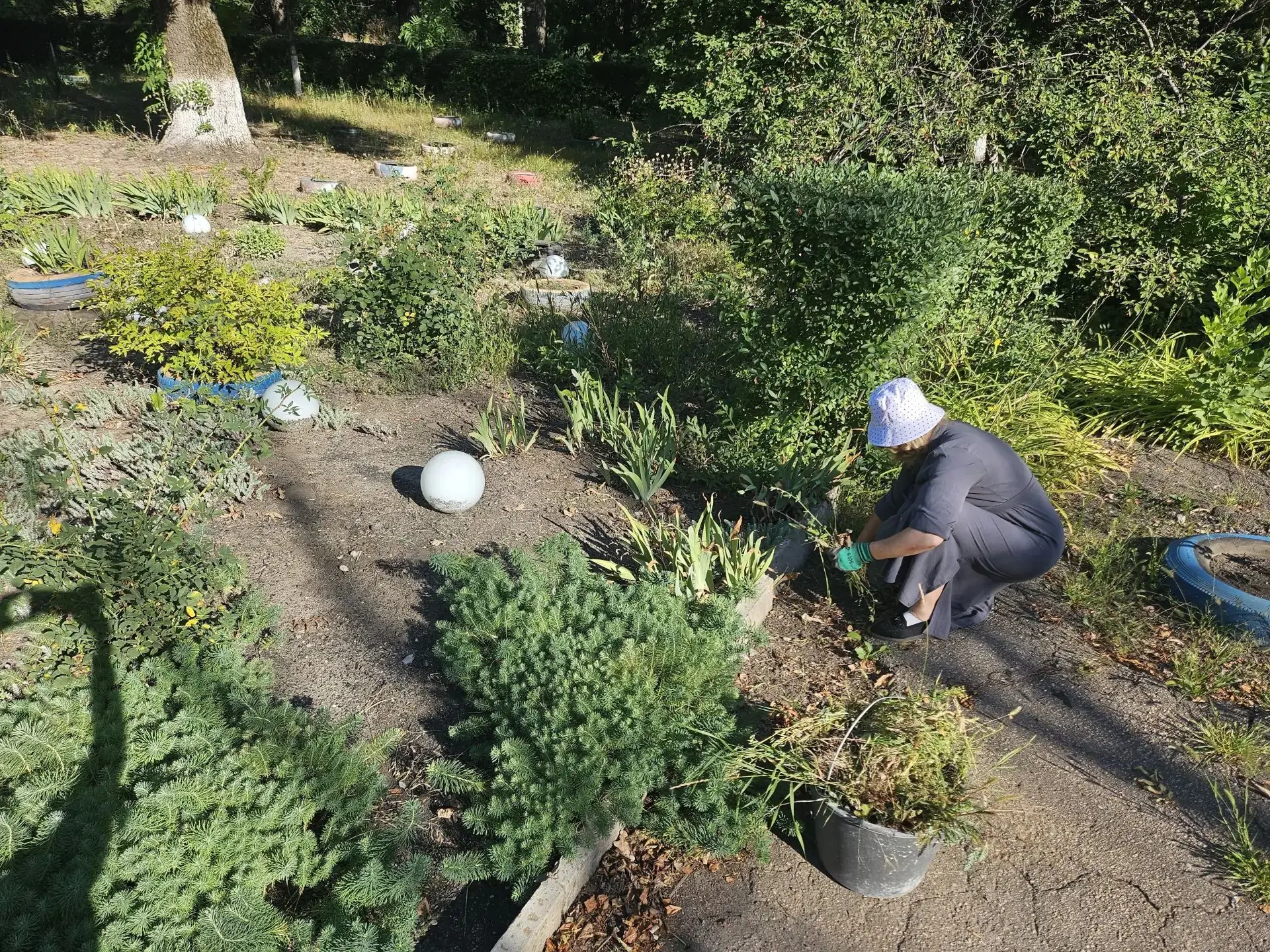 🍀Чистый четверг🍀 учреждений образования Петровского района.

Вместе сделаем наш любимый район краш