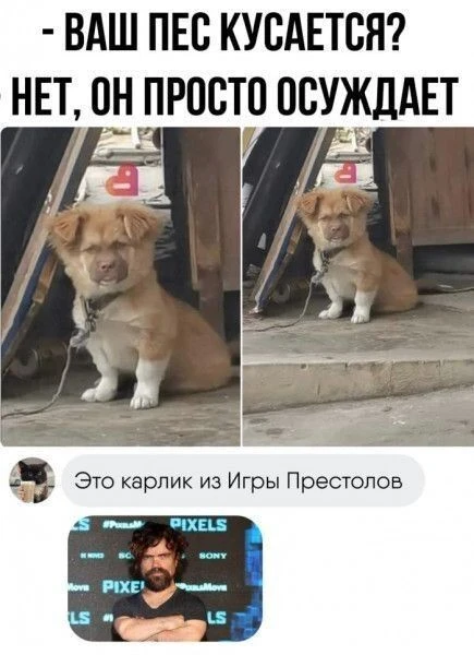🤣🤣🤣