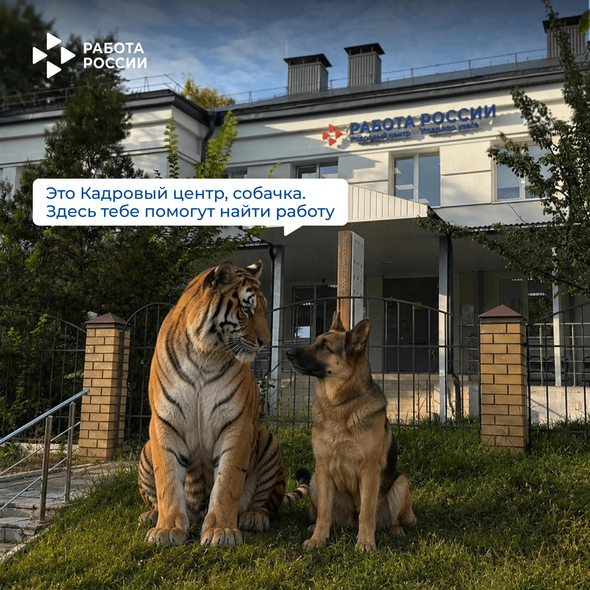 Когда нашел идеального карьерного консультанта... 🐾