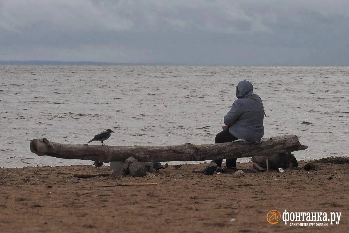 Очередной циклон принесёт в Петербург дожди. Сегодня в городе будет облачно с прояснени...