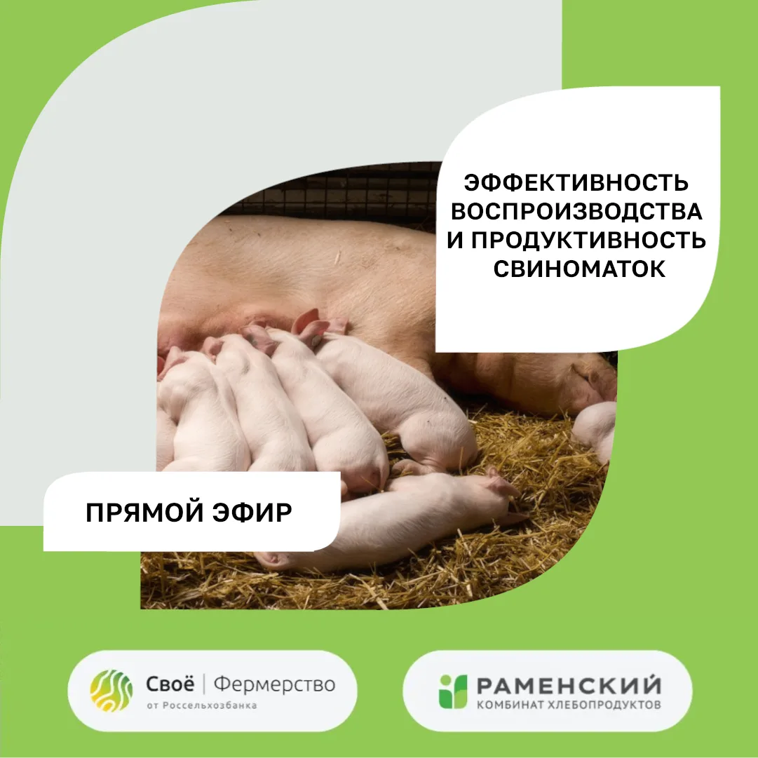 Спасибо всем, кто присоединился к нашему прямому эфиру!