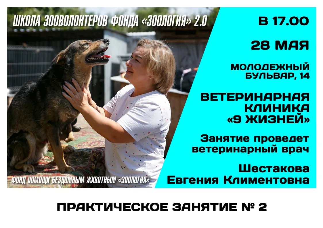 💥 Проект «Школа зооволонтеров Фонда «Зоология» 2.0, направленный на подготовку волонтеров, осуществ