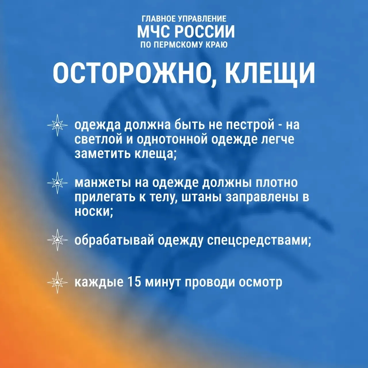 Лето — время прогулок, пикников и клещей 

Каждый год эти маленькие насекомые становятся причиной се