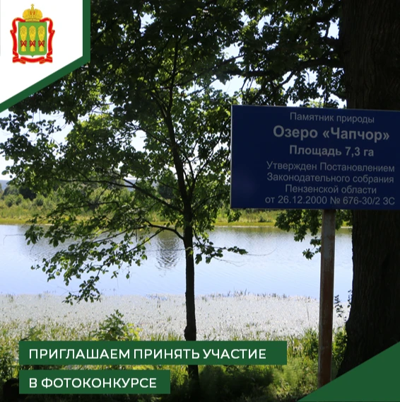 🏞 Участвуй в Межрегиональном конкурсе фотографий «Фотоохота на заповедных территориях»! 🌳
Почувств