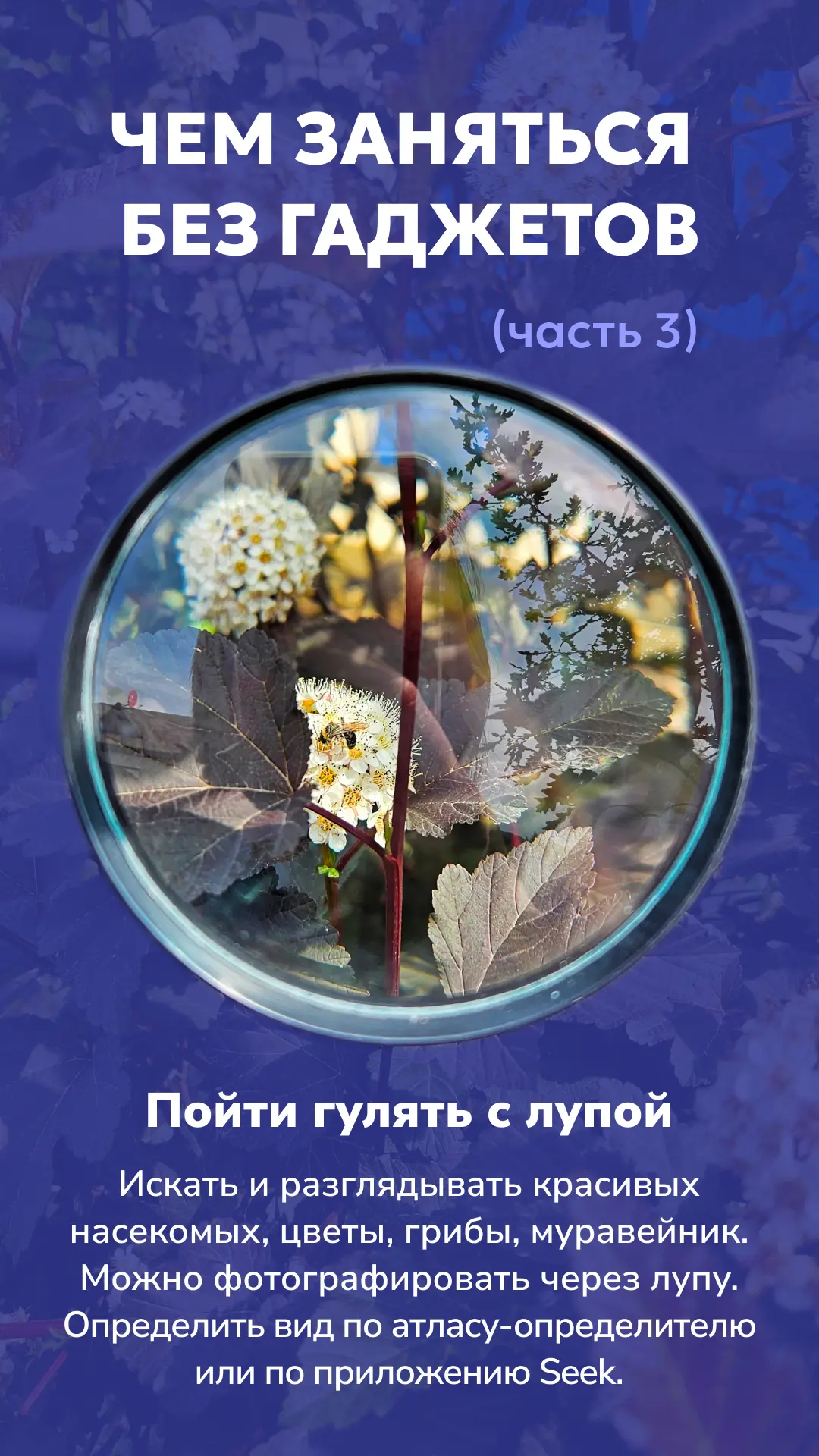 Чем заняться без гаджетов: часть 3