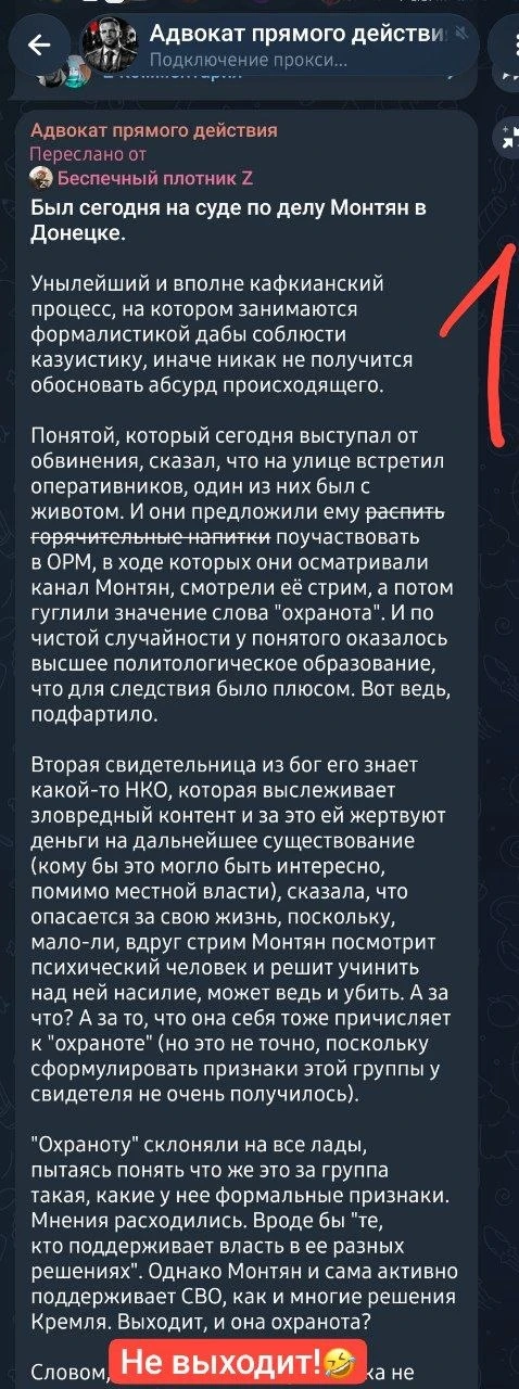⚡️ Как прошёл суд 11 августа по версии  нацбола Староверова из "Дгугой России".