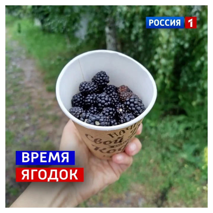 🗓️ 16 сентября, среда