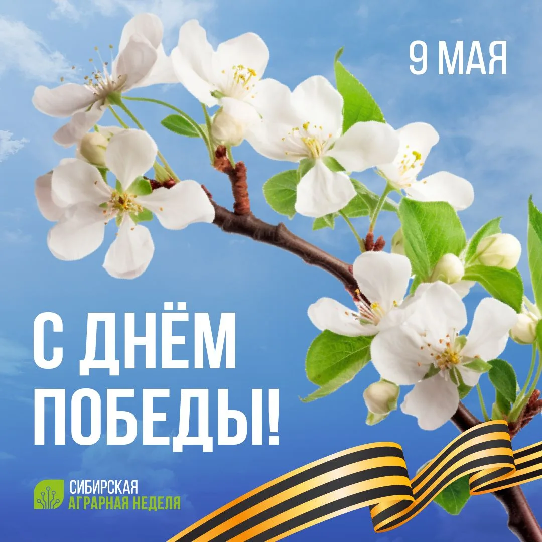 С Днем Великой Победы 🕊