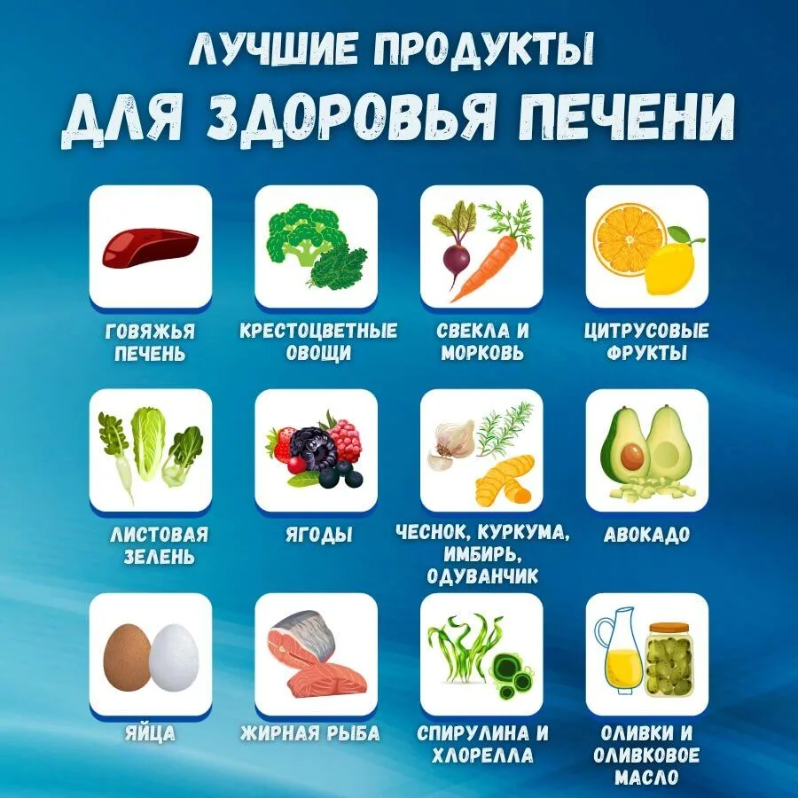 Главный фильтр организма: 10 продуктов, которые любит ваша печень
Печень - это химическая лаборатори