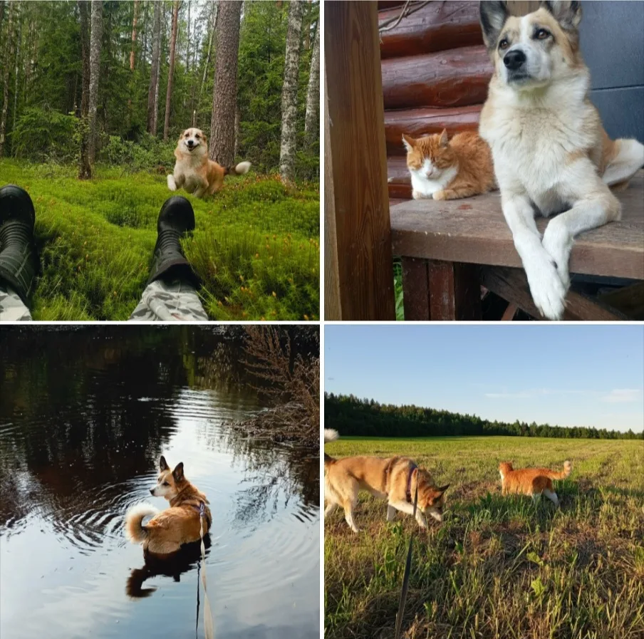 Привет от Лизы❤
