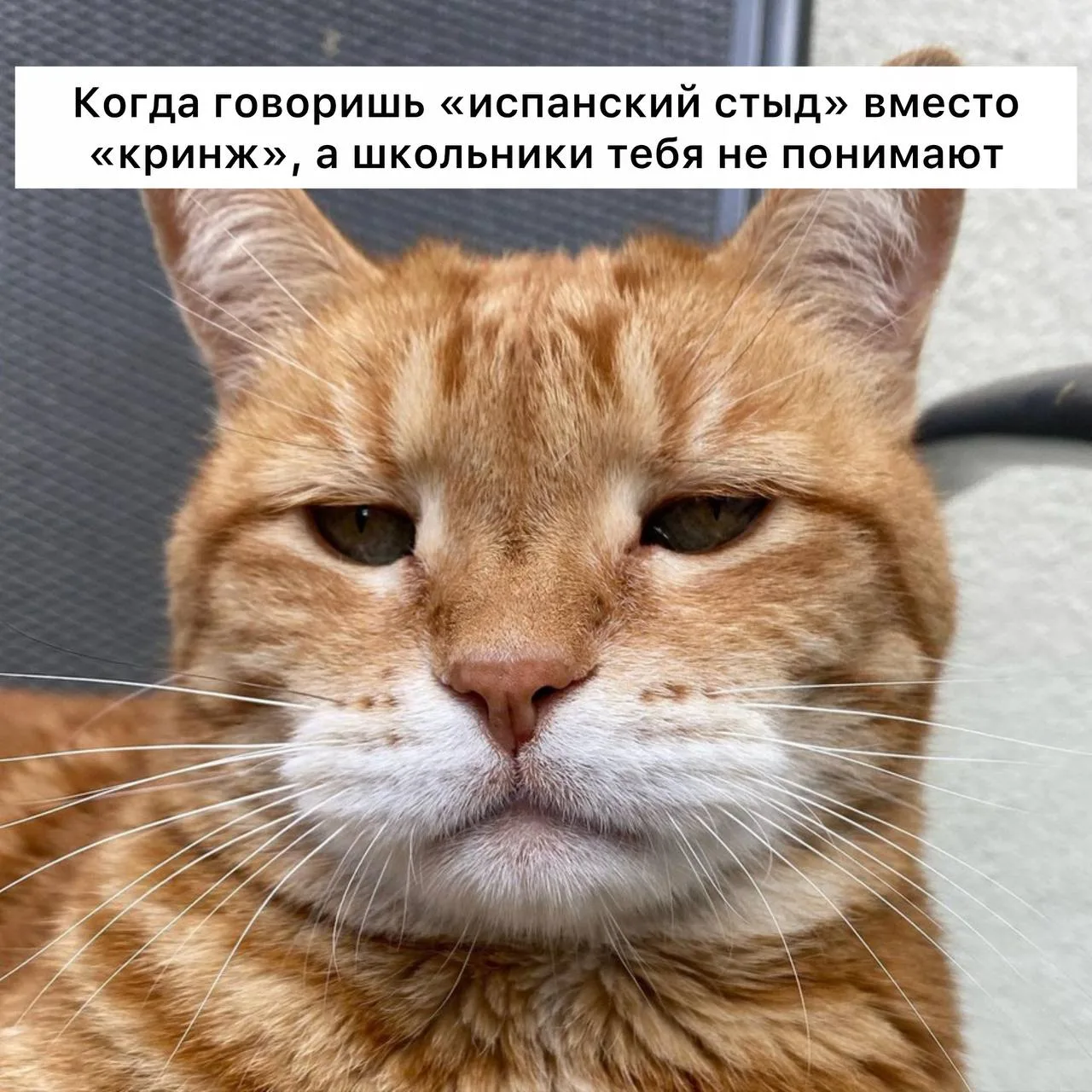 В ТОП-5 самых бесящих россиян слов вошли «кринж», «рофл» «инфа», «лол», «имба», — анали...