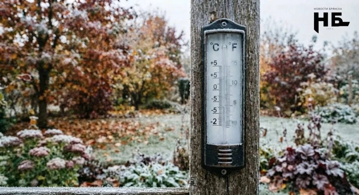 🥶 В Брянской области 2 октября ожидаются заморозки до -2°C