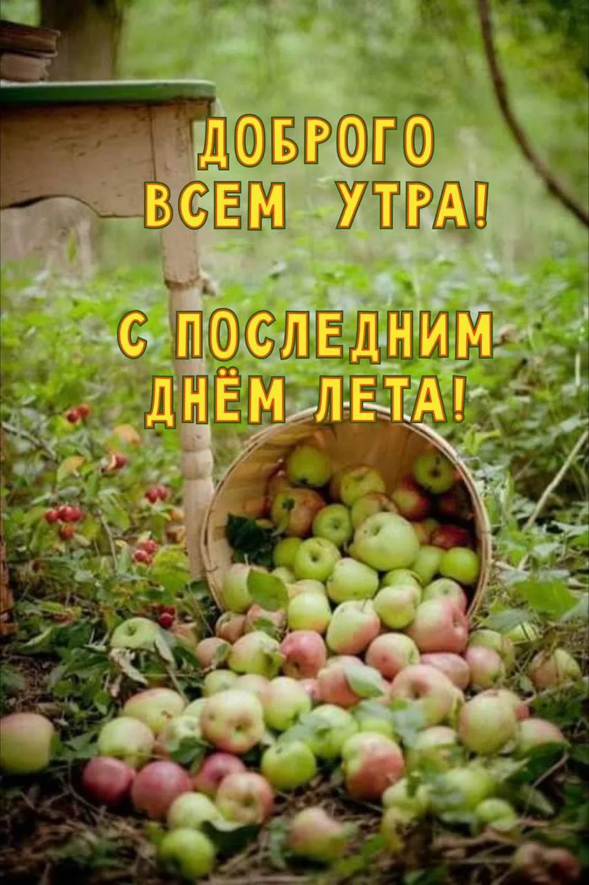 Женские открытки💝