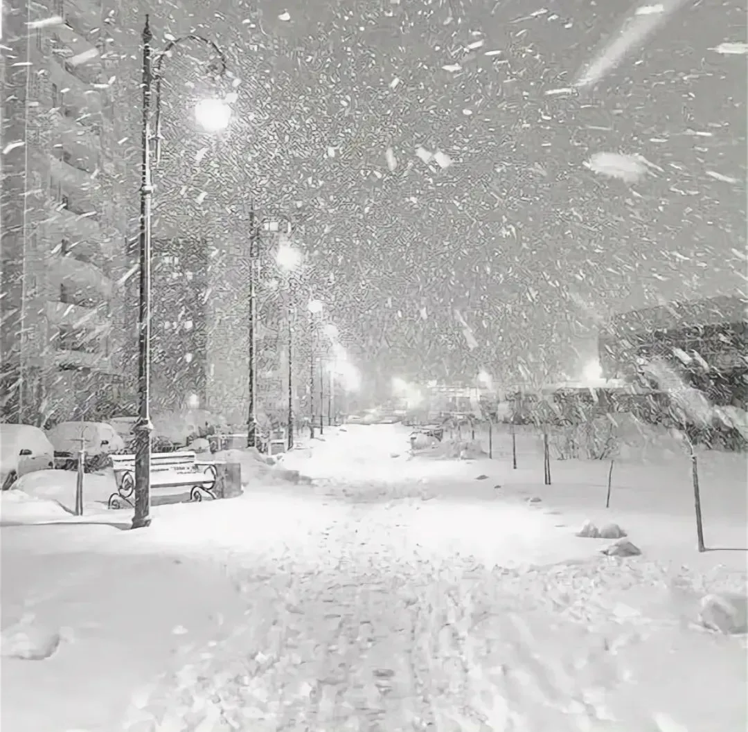 ❄️ Снег в Тюмени пойдет только в ноябре