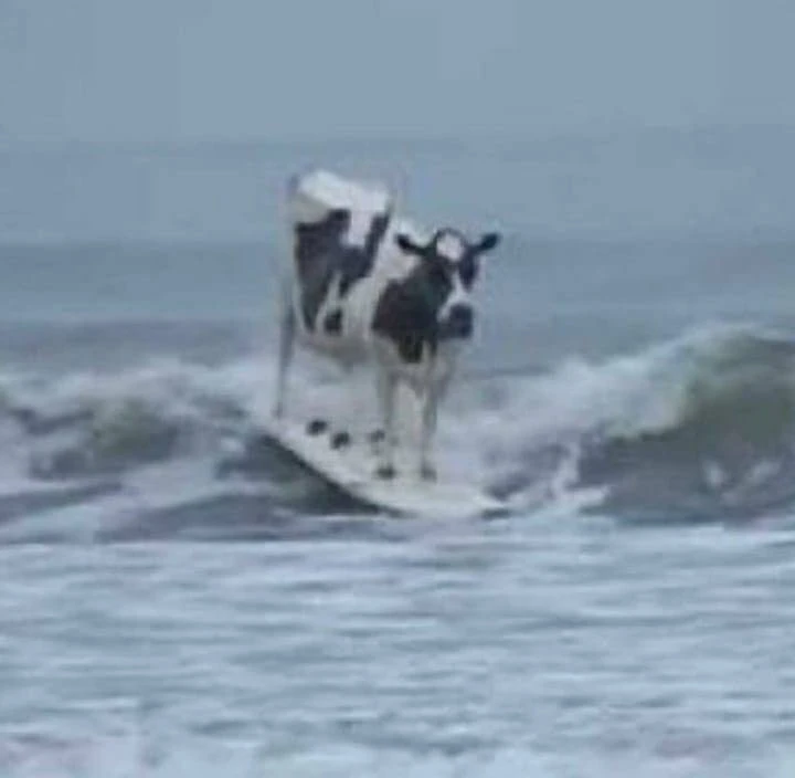 кайфун дошел до Казани 🌊