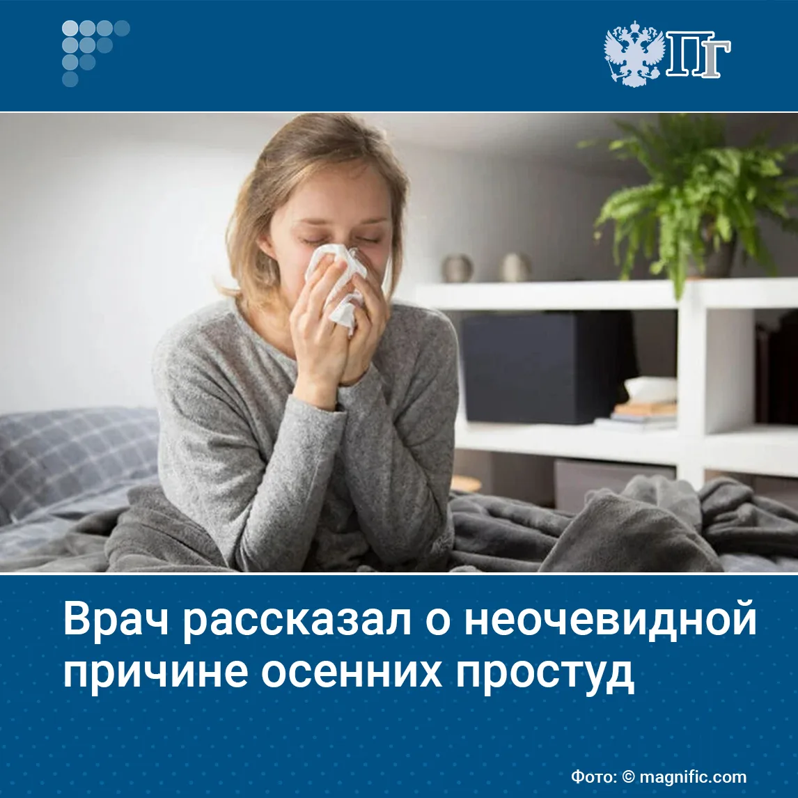 С наступлением осени и зимы многие из нас чаще болеют ОРВИ и гриппом. Мы склонны винить...