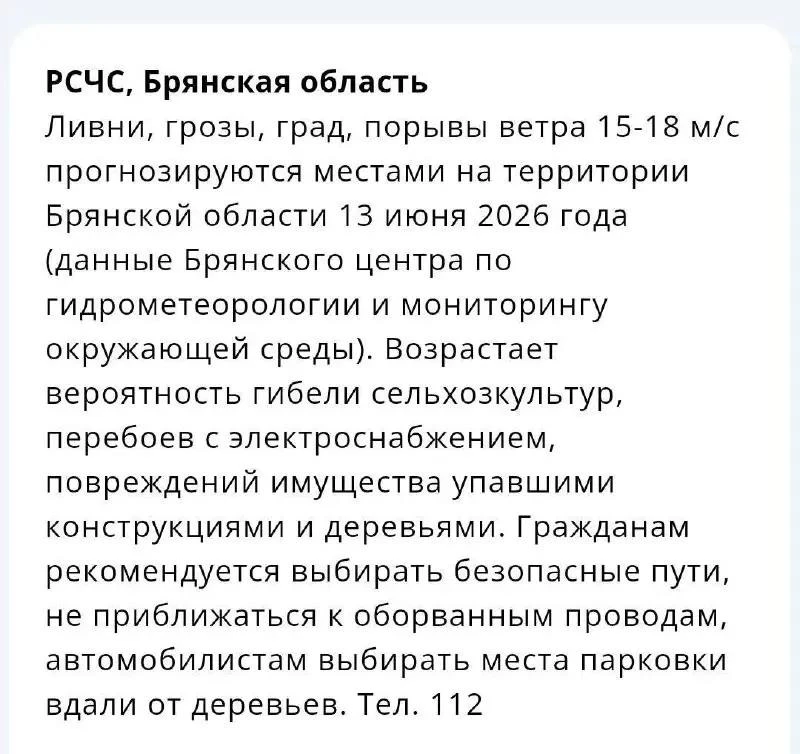 Ливни, грозы и град надвигаются на Брянскую область

МЧС распространило экстренное предупреждение. П