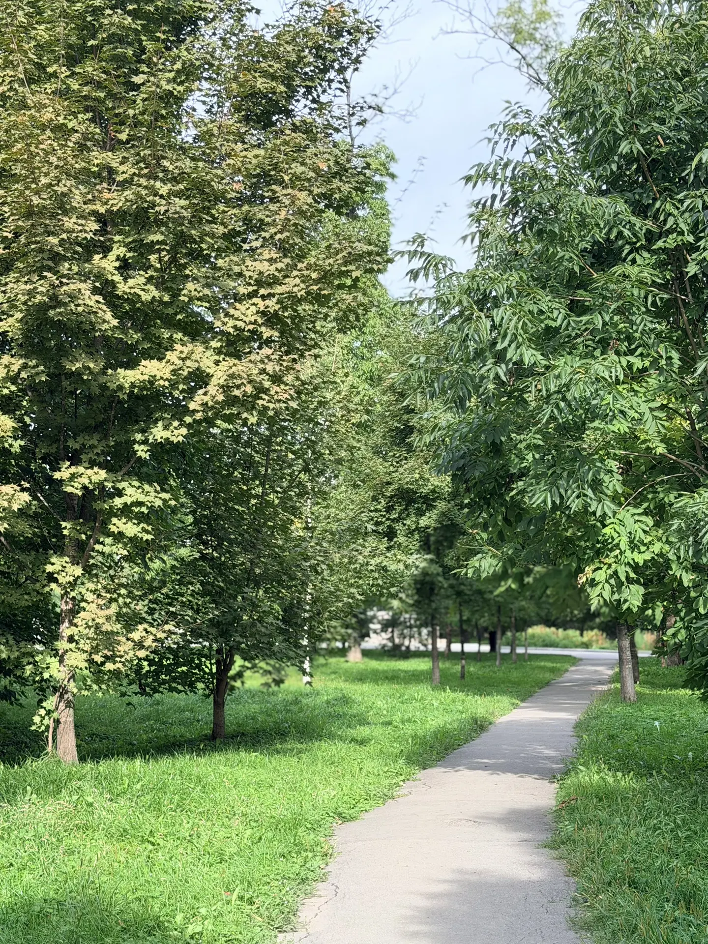 Доброе утро и хорошего понедельника ☀️