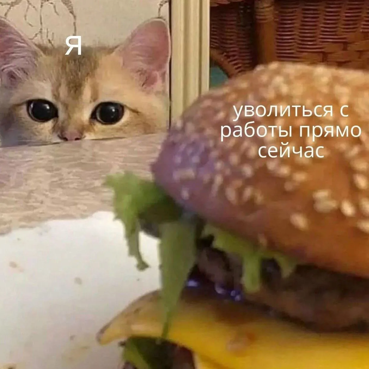 Ставь лайк! ❤️