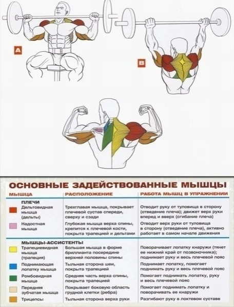 Со спортом по жизни