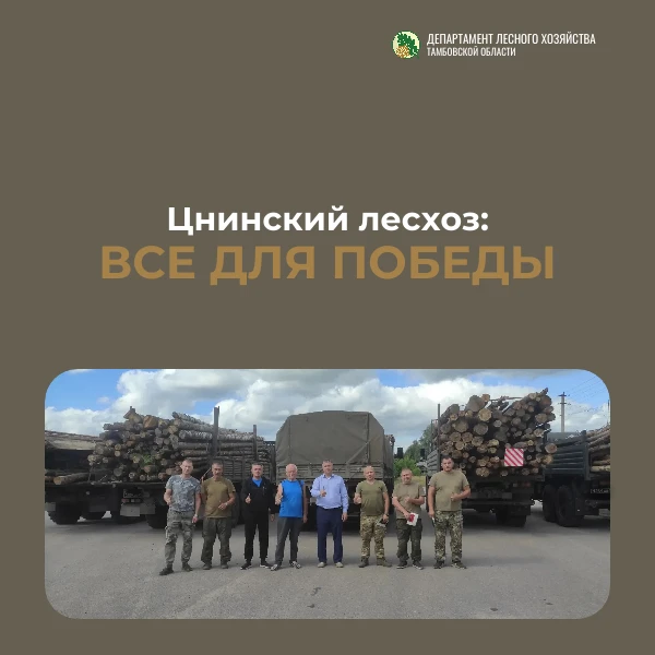 🌲 Лесное хозяйство Тамбовщины — это не только лесовосстановление и охрана, но и надёжн...