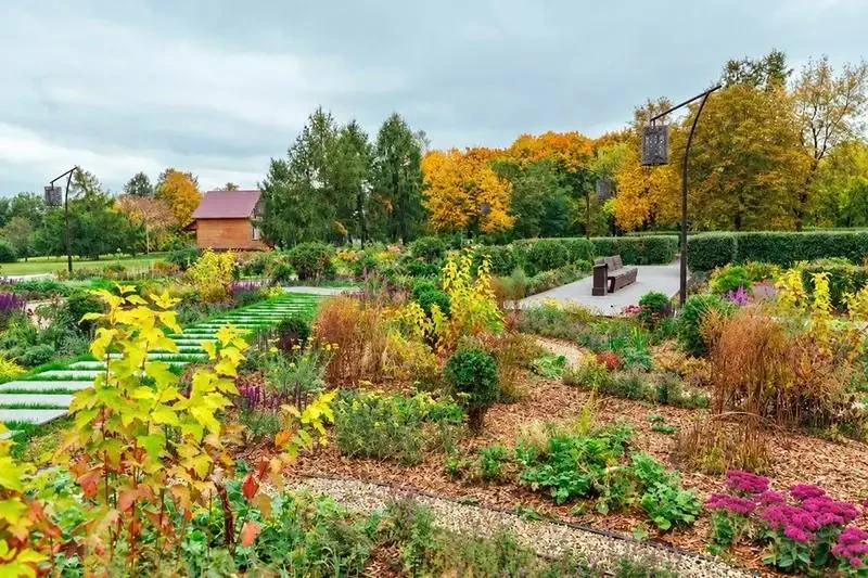 🍂 Рижский сад примеряет осенние краски
