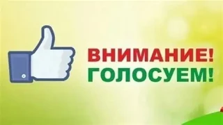 Голосуем за наши местные инициативы
