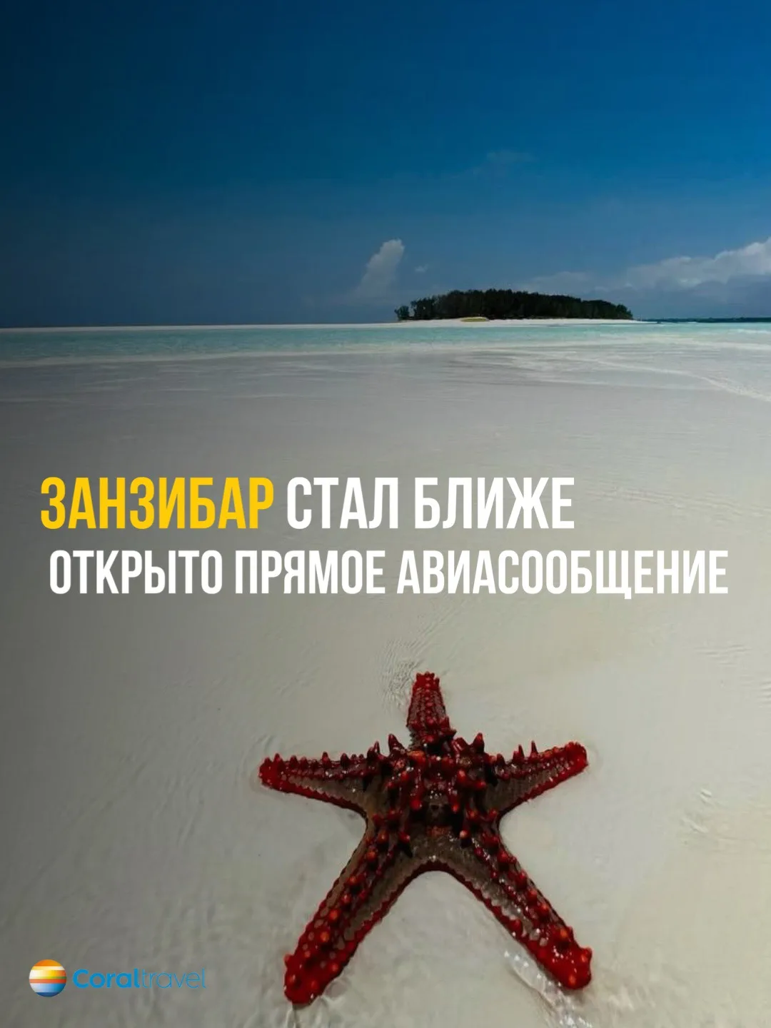 🟥Занзибар стал ближе!🟥