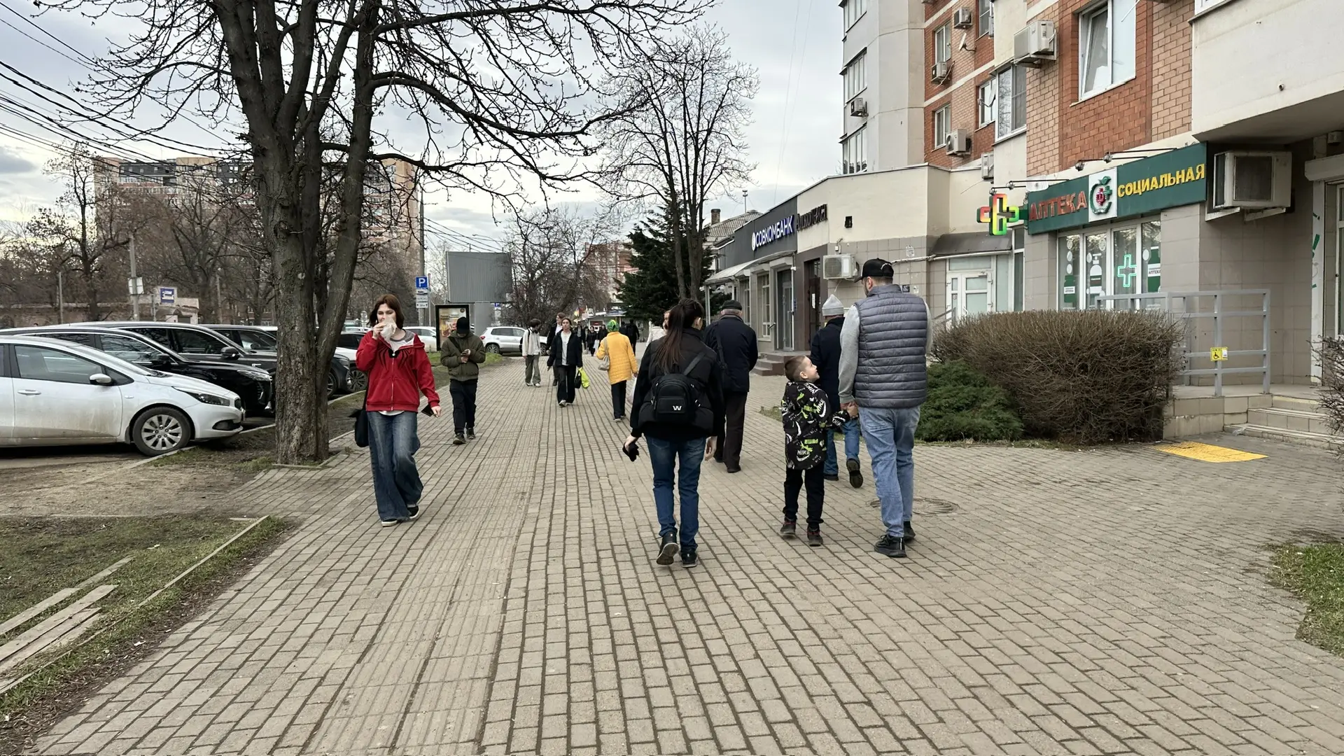 😉Обещали +19, выдали +17, но, мы справимся и с этим испытанием, а выглядят +17 в феврале вот так.   