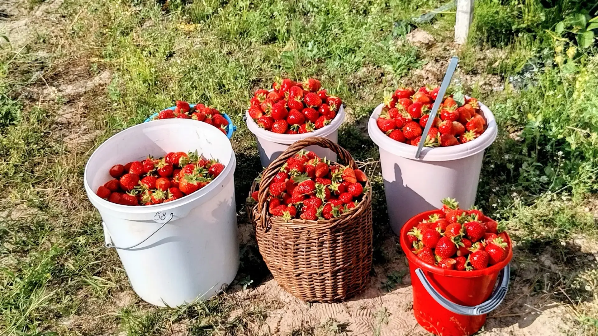 Вот оно какое, наше лето...👍👍👍
Фото Михаил Волков