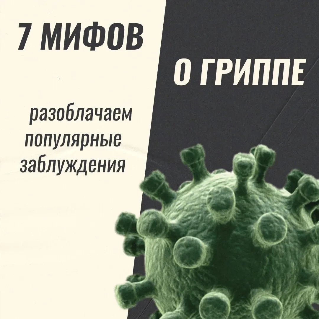 📋 В данном информационном материале представлен систематический анализ наиболее распро...
