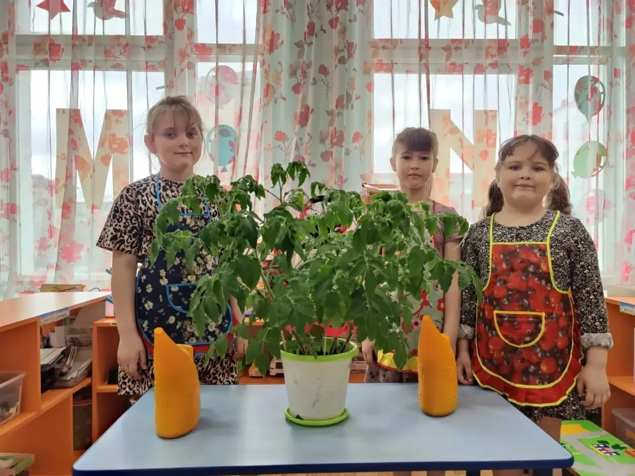 Чудо-урожай за семь недель!