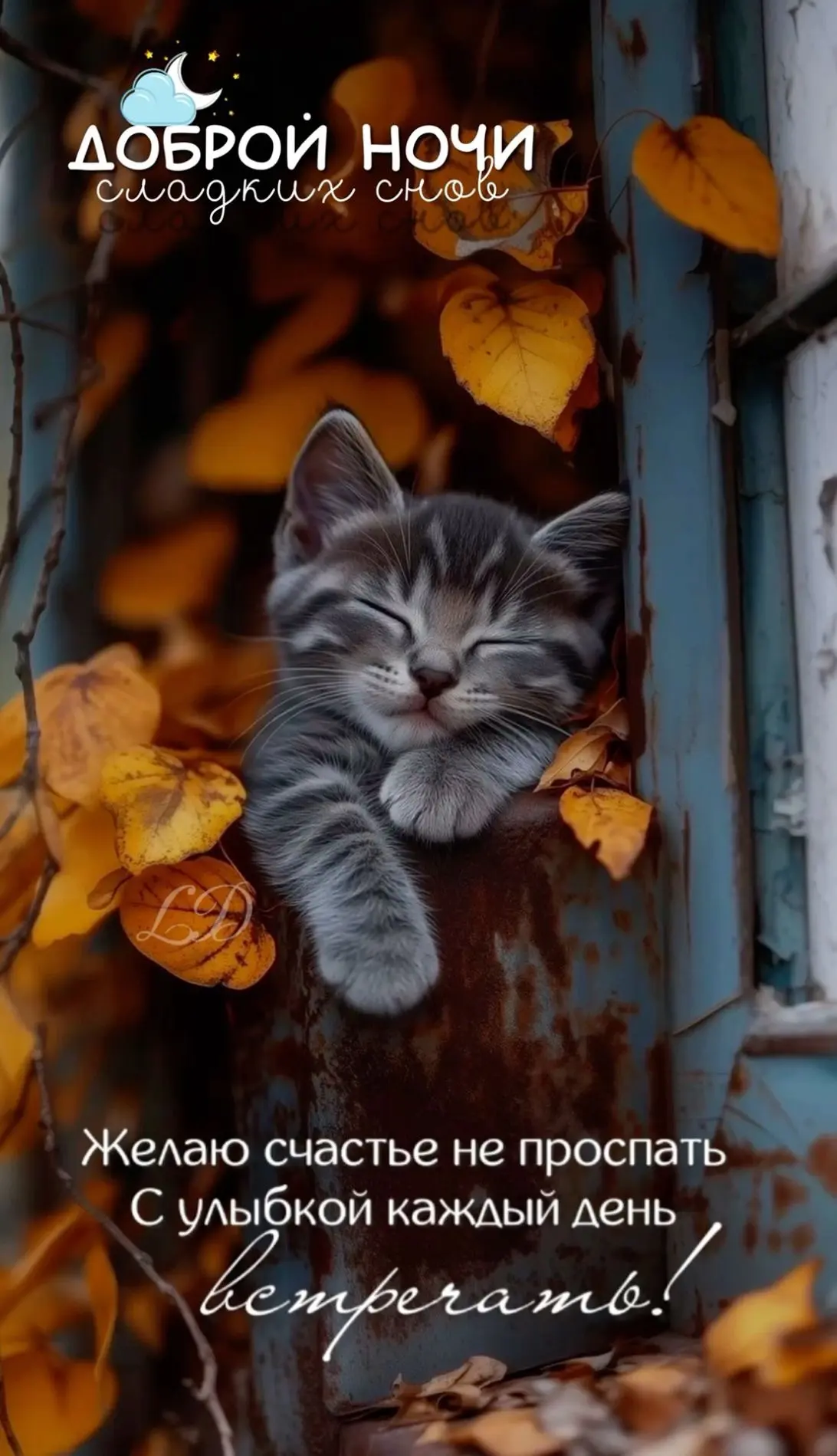 ЛУЧШИЕ ОТКРЫТКИ🙏