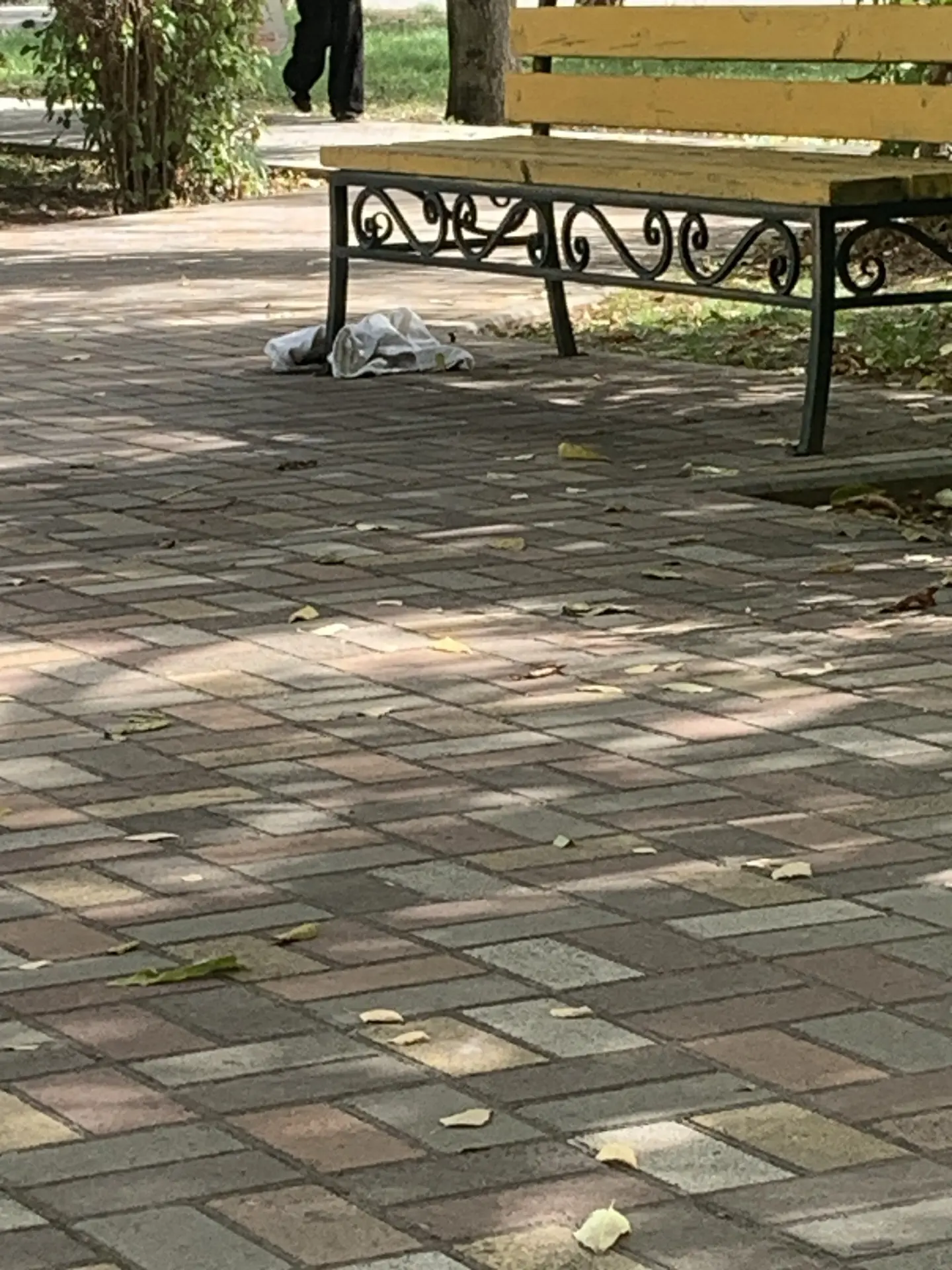Что то в кофте, тяжелое. Забыли в парке.