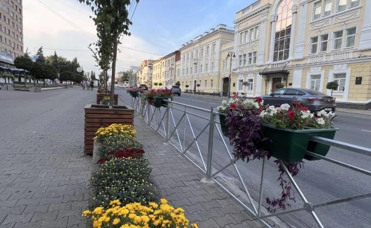 🌳  В Курске саженцы лип из кашпо высаживают в грунт на ул.Ленина.