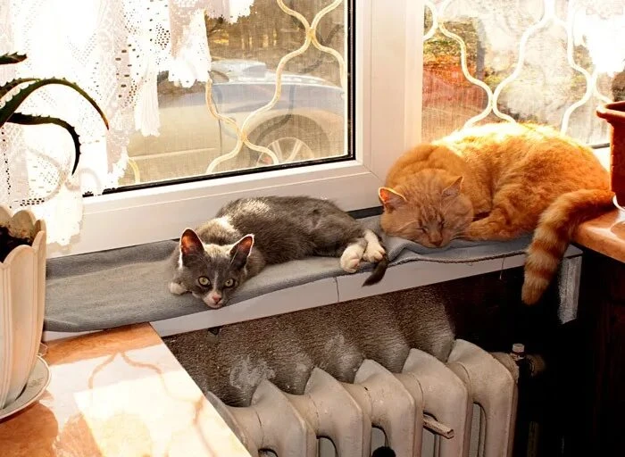 💫 И коротко о погоде в Мытищах