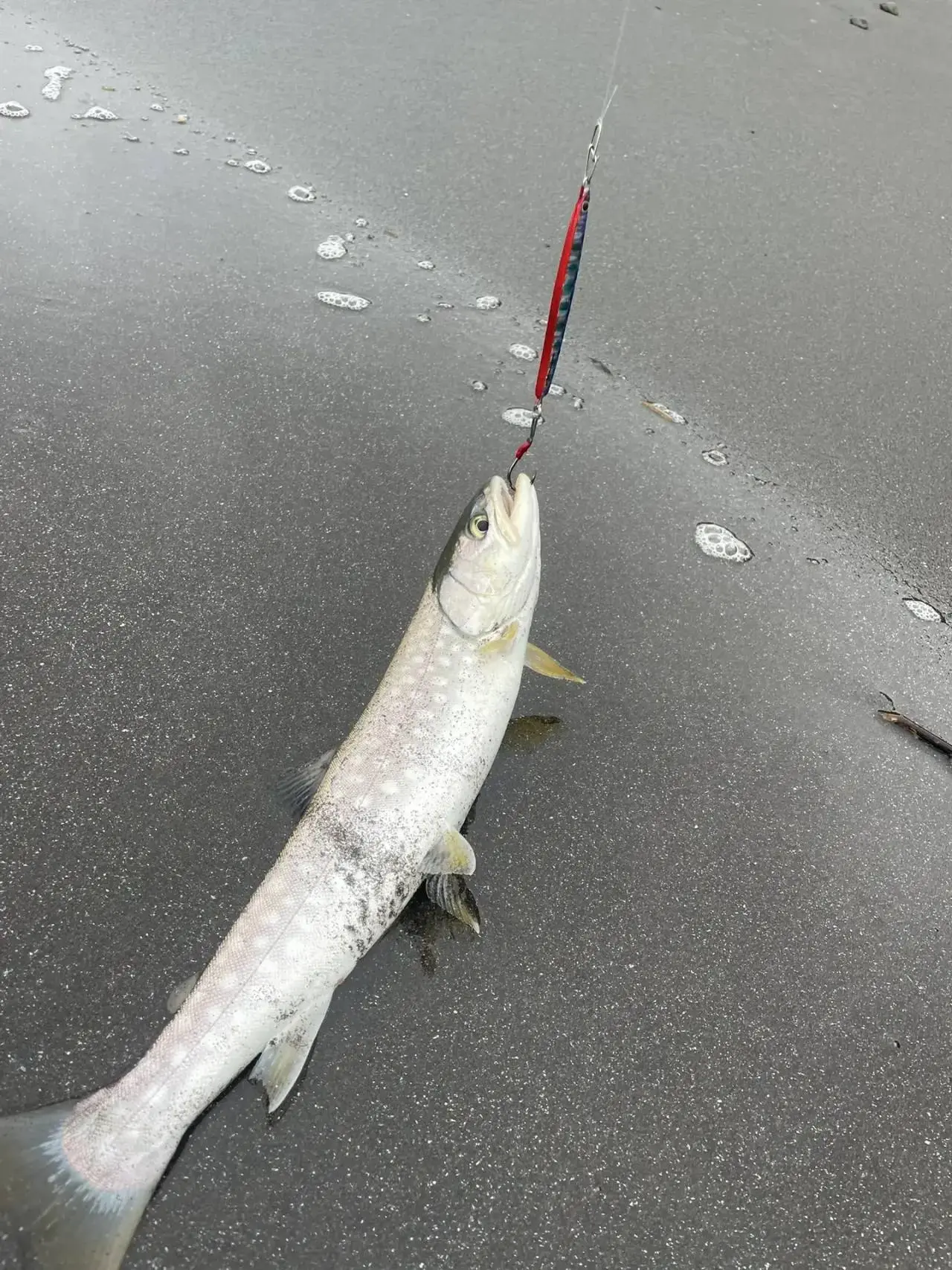 Вечерка на Саловарке 🎣