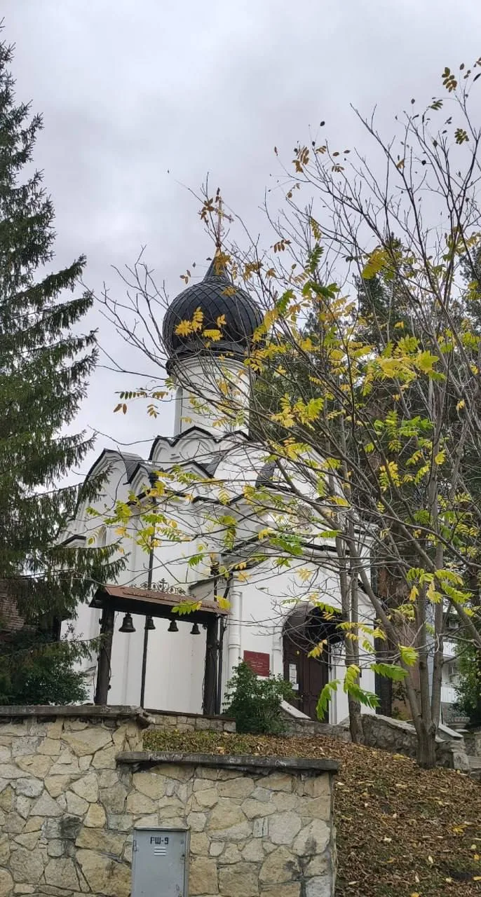 Немного осенней Белокурихи вам в ленту.